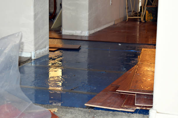 Professional Flood Cleanup technician working in Amlin, OH